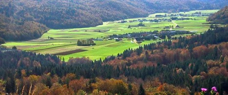 Globodolsko podolje