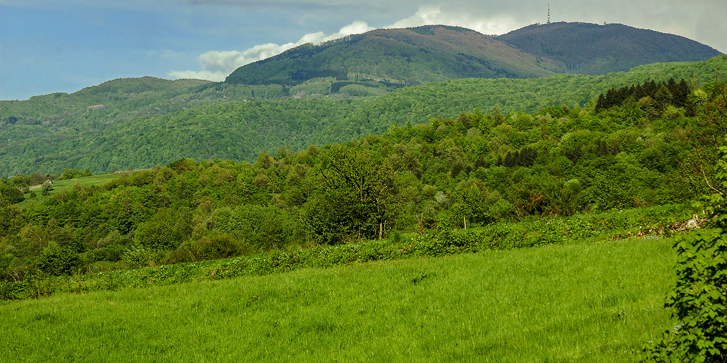 Gorjanci