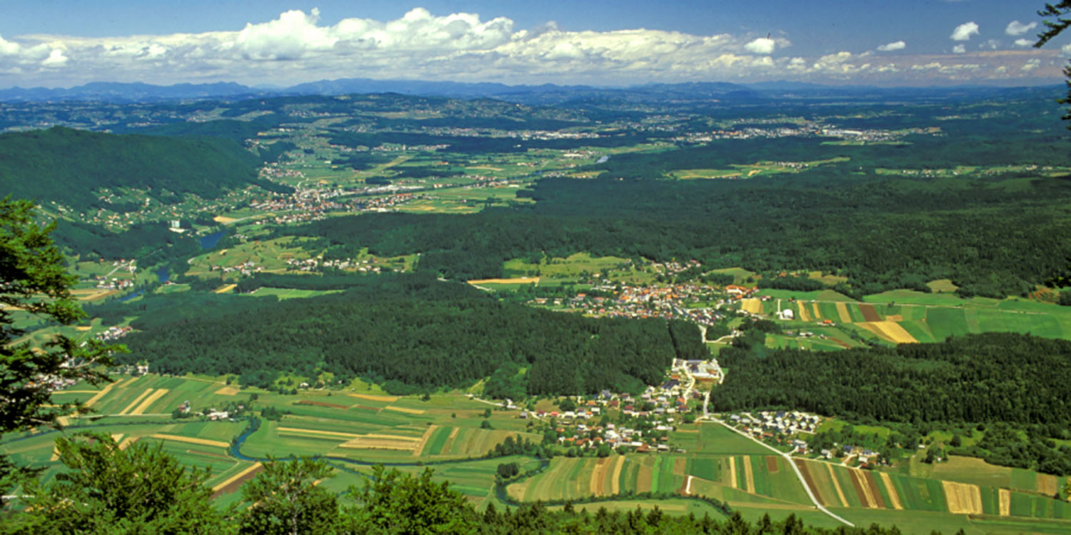 Novomeško podolje
