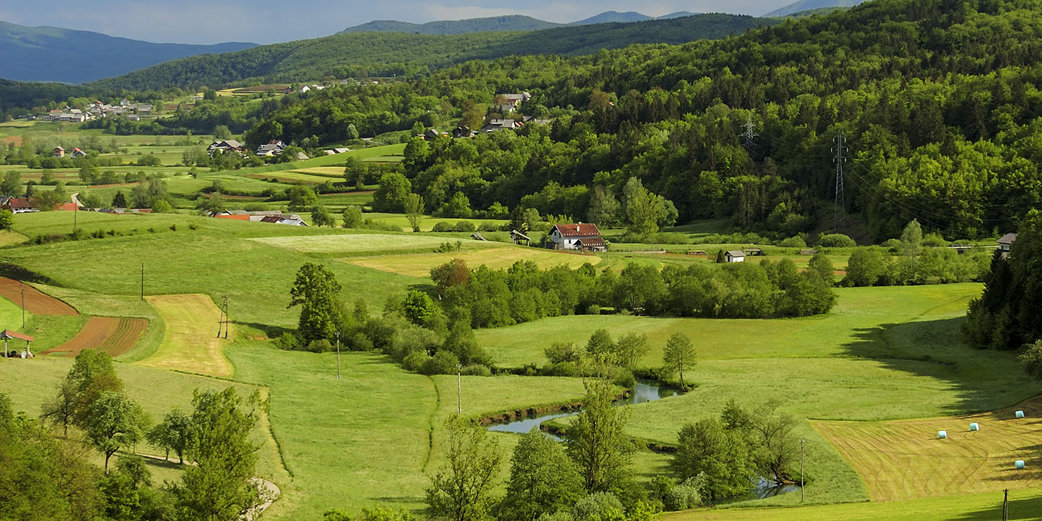 Temeniško podolje